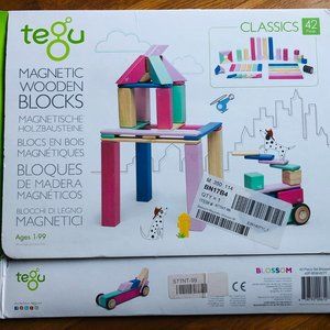 TEGU Magnetic Wooden Blocks (42 piece set)
